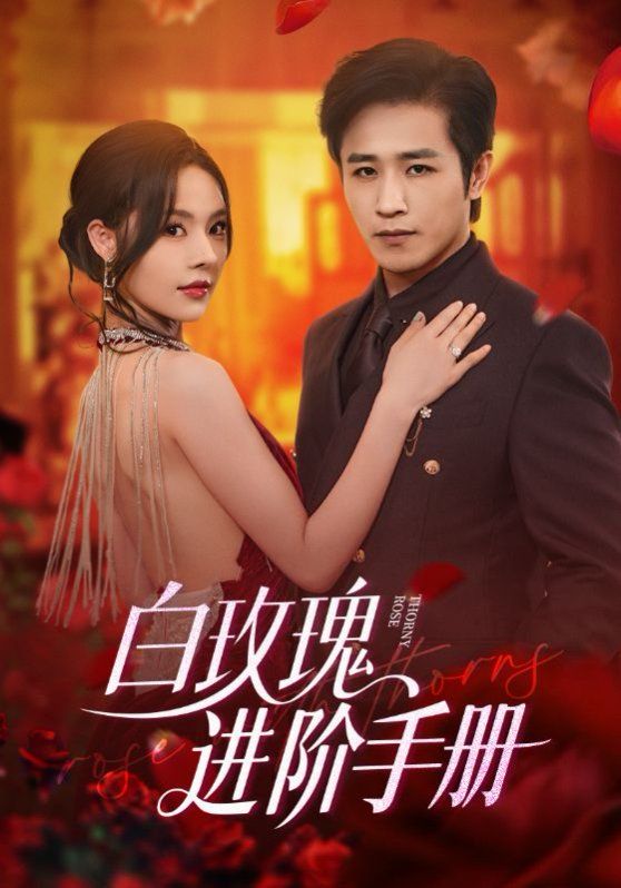 白玫瑰進階手冊