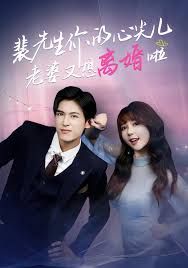 裴先生你的心尖兒老婆又想離婚啦，裴先生的復婚攻略