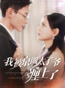 我被京圈太子爺纏上了