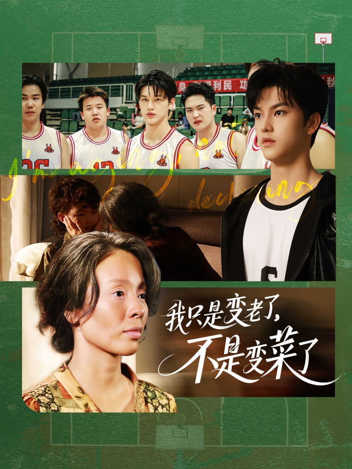 我只是變老了不是變菜了