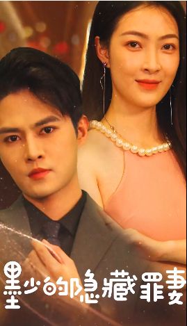 墨少的隱藏罪妻