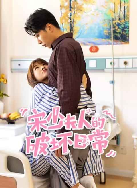 宋少夫人的破壞日常