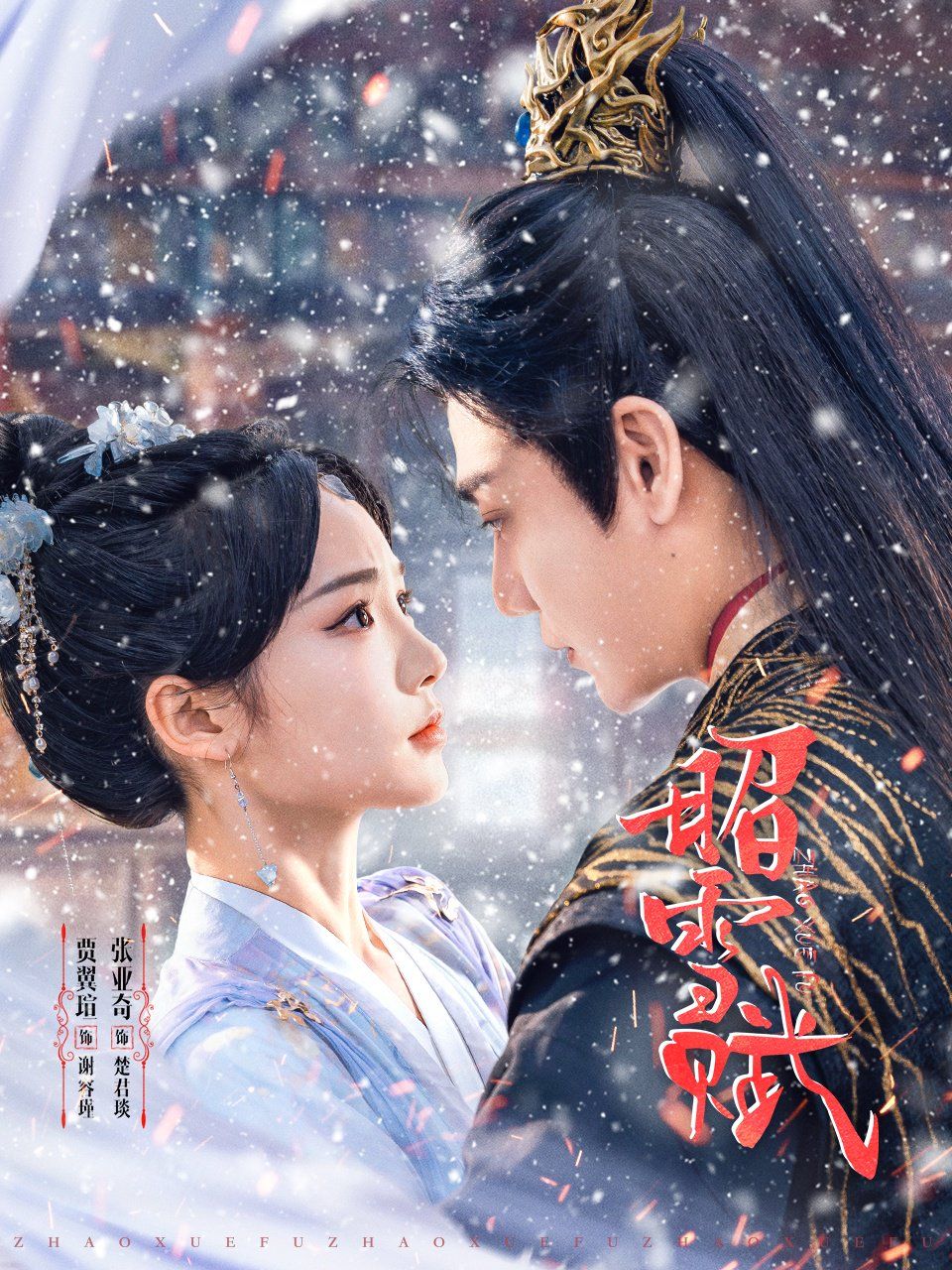 昭雪賦