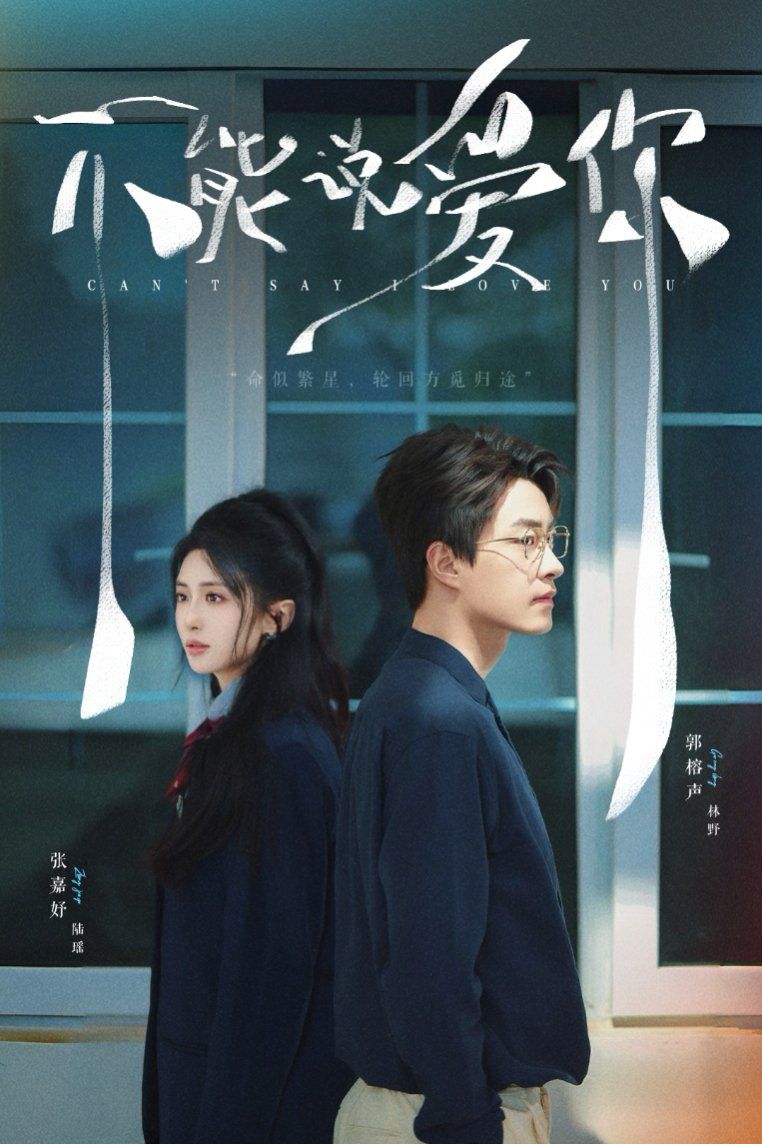 不能說愛你