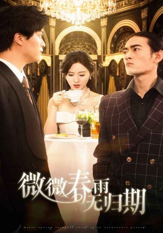 微微春雨無歸期