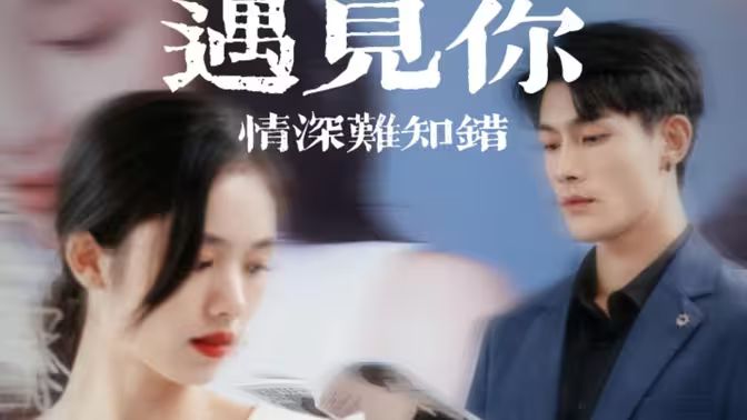 遇見你情深難知錯（軟萌嬌妻總裁大叔太難追）