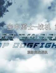 戰機：空中勇士 第七季