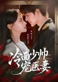 冷面少帥寵醫妻