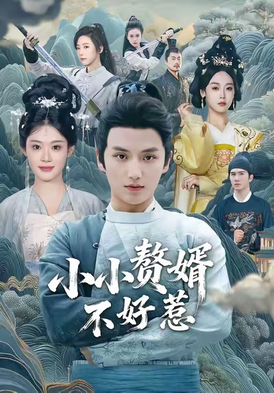 小小贅婿不好惹