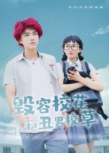 毀容校花和丑男校草