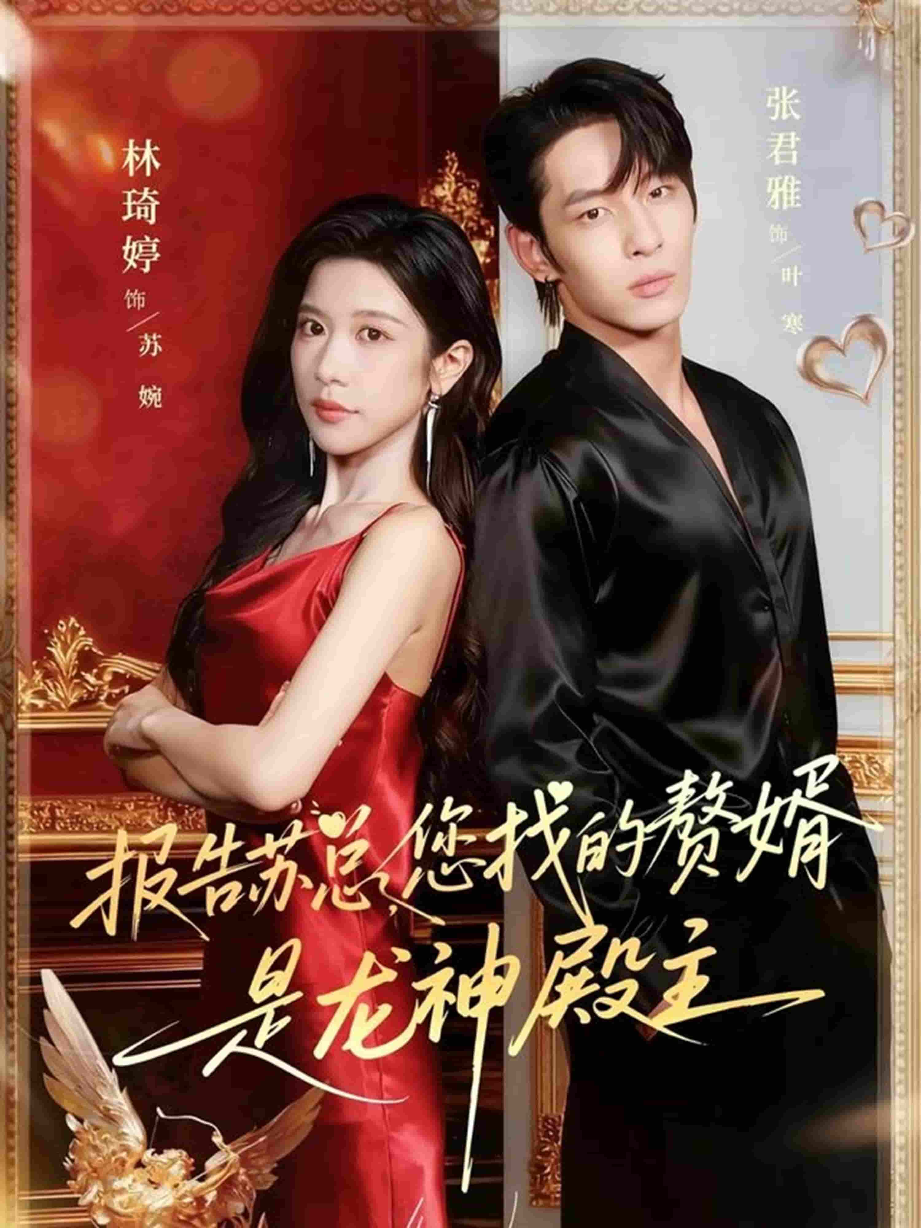 報告蘇總，您找的贊婿是龍神殿主