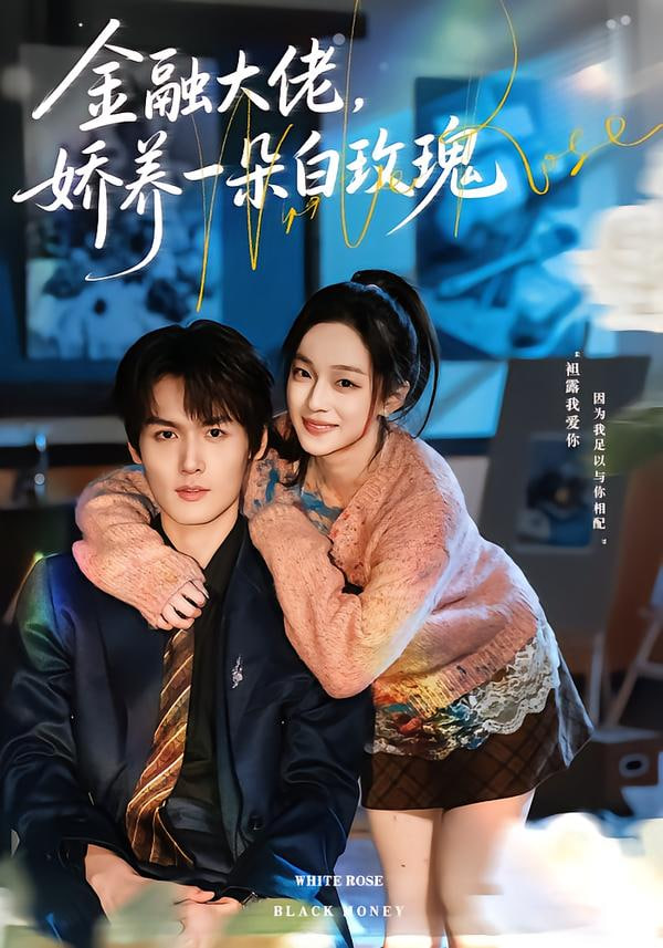 金融大佬，嬌養一朵白玫瑰