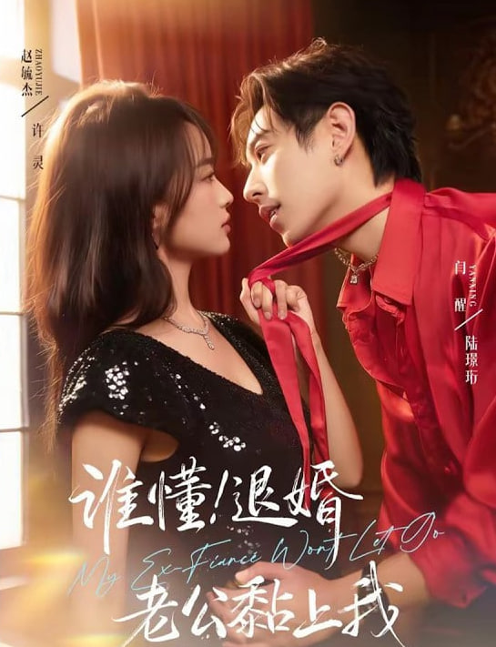 誰懂！退婚老公黏上我