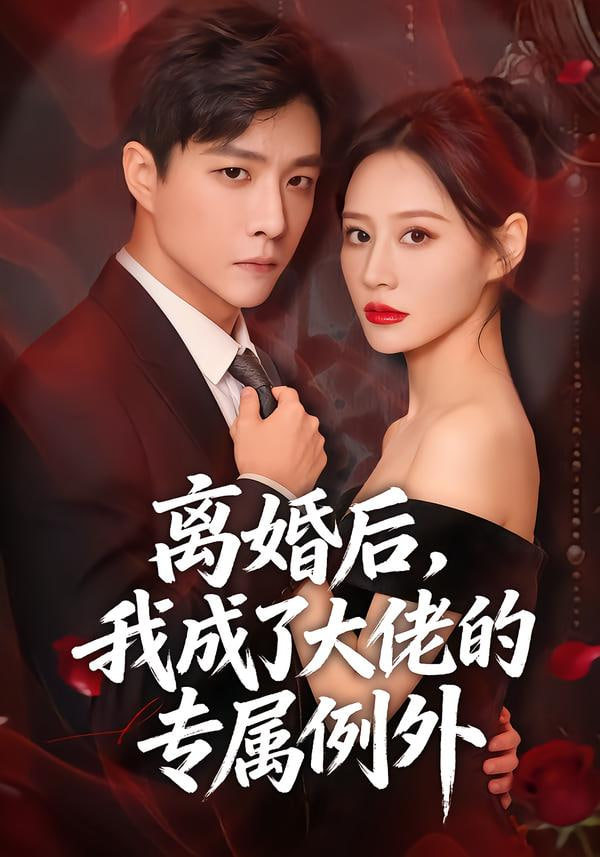 離婚后，我成了大佬的專屬例外