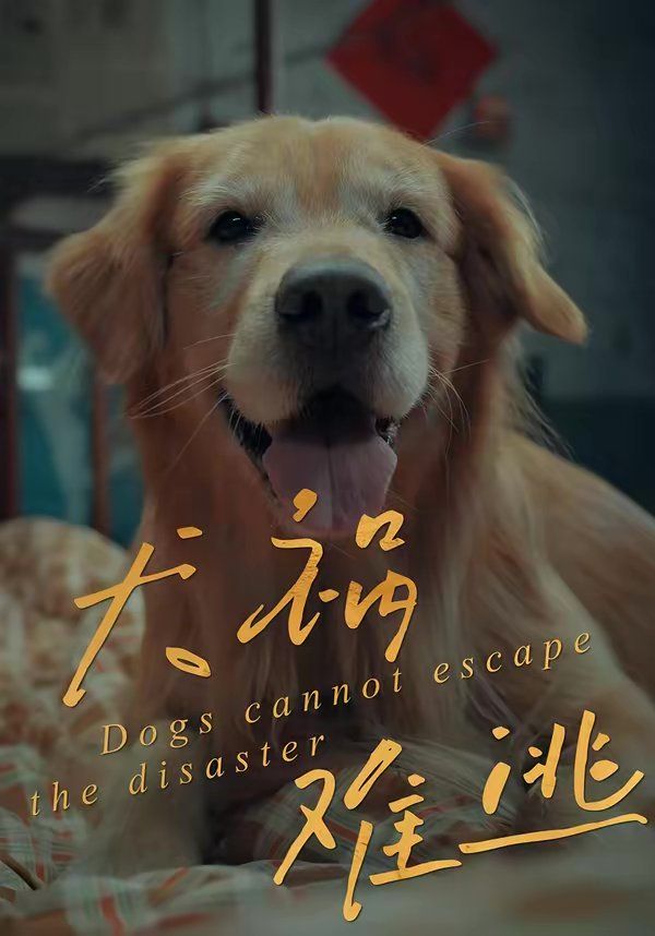 犬禍難逃