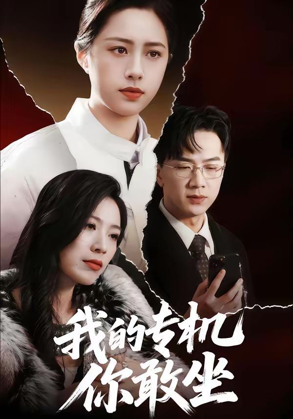 我的專機你敢坐