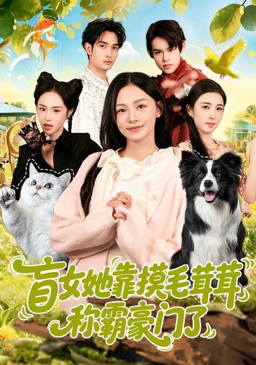 盲女她靠摸毛茸茸稱霸豪門了