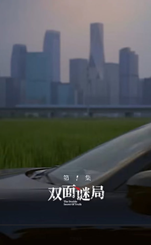 雙面婚局