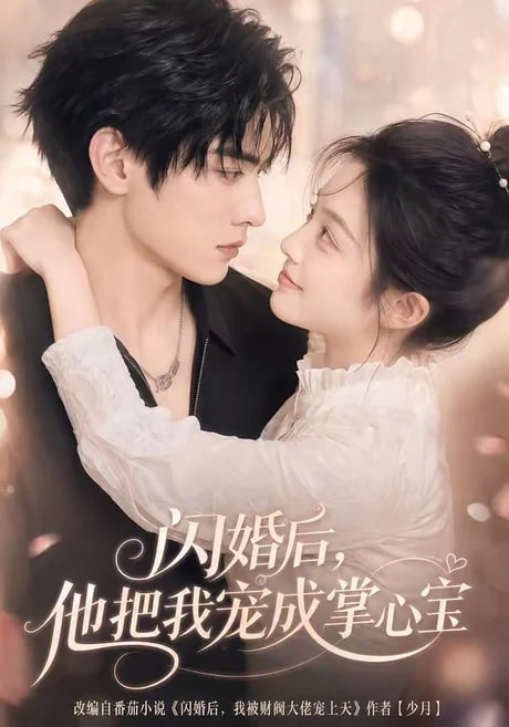 閃婚后，他把我寵成掌心寶